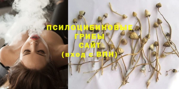 спиды Горнозаводск