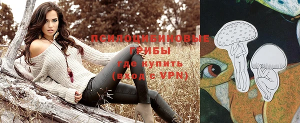 ешки Горно-Алтайск