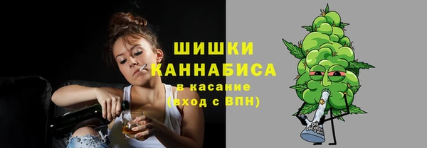 хмурый Горняк