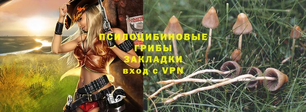 хмурый Горняк