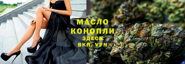 хмурый Горняк