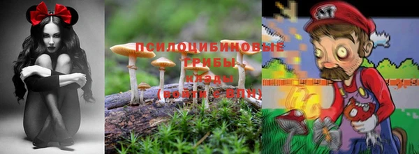 ешки Горно-Алтайск