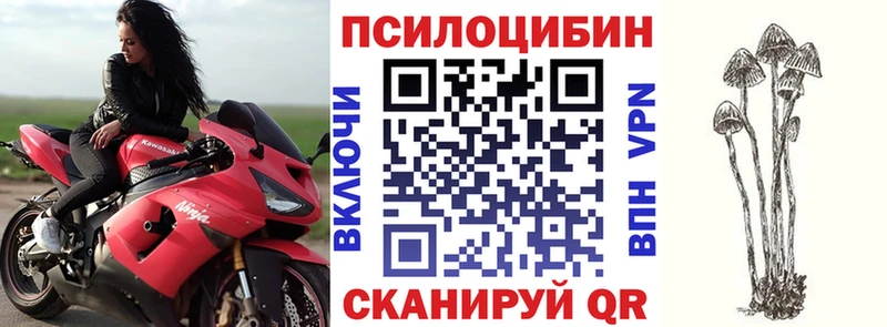 Галлюциногенные грибы Psilocybe Воронеж