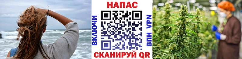 Бошки марихуана сатива omg tor Воронеж